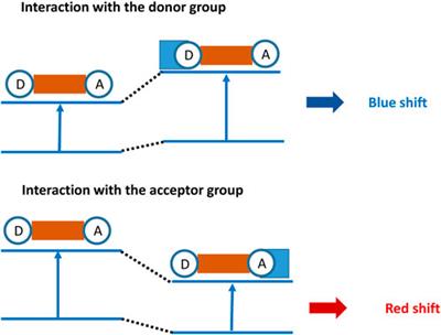 ICT-based fluorescent probes for intracellular pH and biological species detection